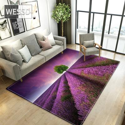 Romantic Lavender Living Room Carpet Purple Floral Rug Modern Sofa Mat Girl Room Carpet Bedside Mat Flannel Sponge Floor Mat