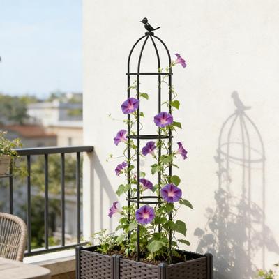 Pflanzenrankgitter Außen Dekorativer Rahmen Stützen Pflanzenstäbe für Innen für Außen Innen Rose Clematis Gemüse Obst