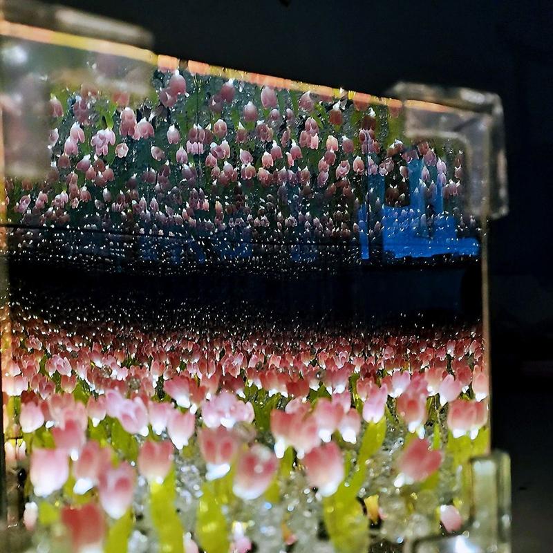 Creative Diy Tulip Flower Sea Cube Three-Dimensional Small Night Lamp Material Package For Girlfriend Couple Girlfriend