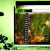 2pcs Stick-on Digital  Aquarium  Fish Tank Fridge Thermometer Sticker Temperature Temp Measurement Stickers