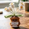 Fleur en Crochet de Soutien Émotionnel Petite Plante de Muguet Faite à la Main avec Carte d'Affirmation Fleurs Tricotées Inspirantes Cadeaux