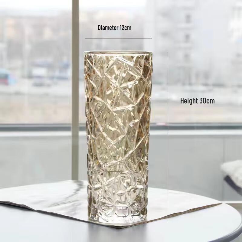 Premium Transparent Glass Vase