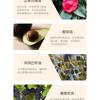 isLeaf - Fragrance Argan Hair Oil Cherry Blossom