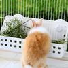 Feeder Stand, Small Animal Guinea Pig Cage Stand