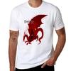DRAGON AGE ORIGINS T-Shirt funnys summer top mens graphic t-shirts pack