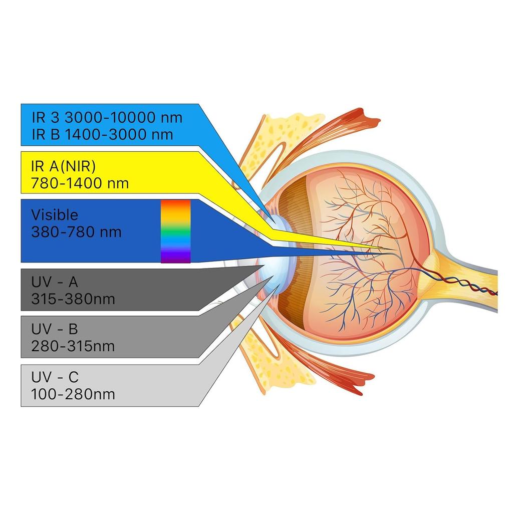 Cloudray CO2 Laser Safety Glasses,Safety Goggles,10600nm Laser Safety Goggles,Laser Eye Protection Od 6+ Glasses Professional Goggles for CO2 Laser