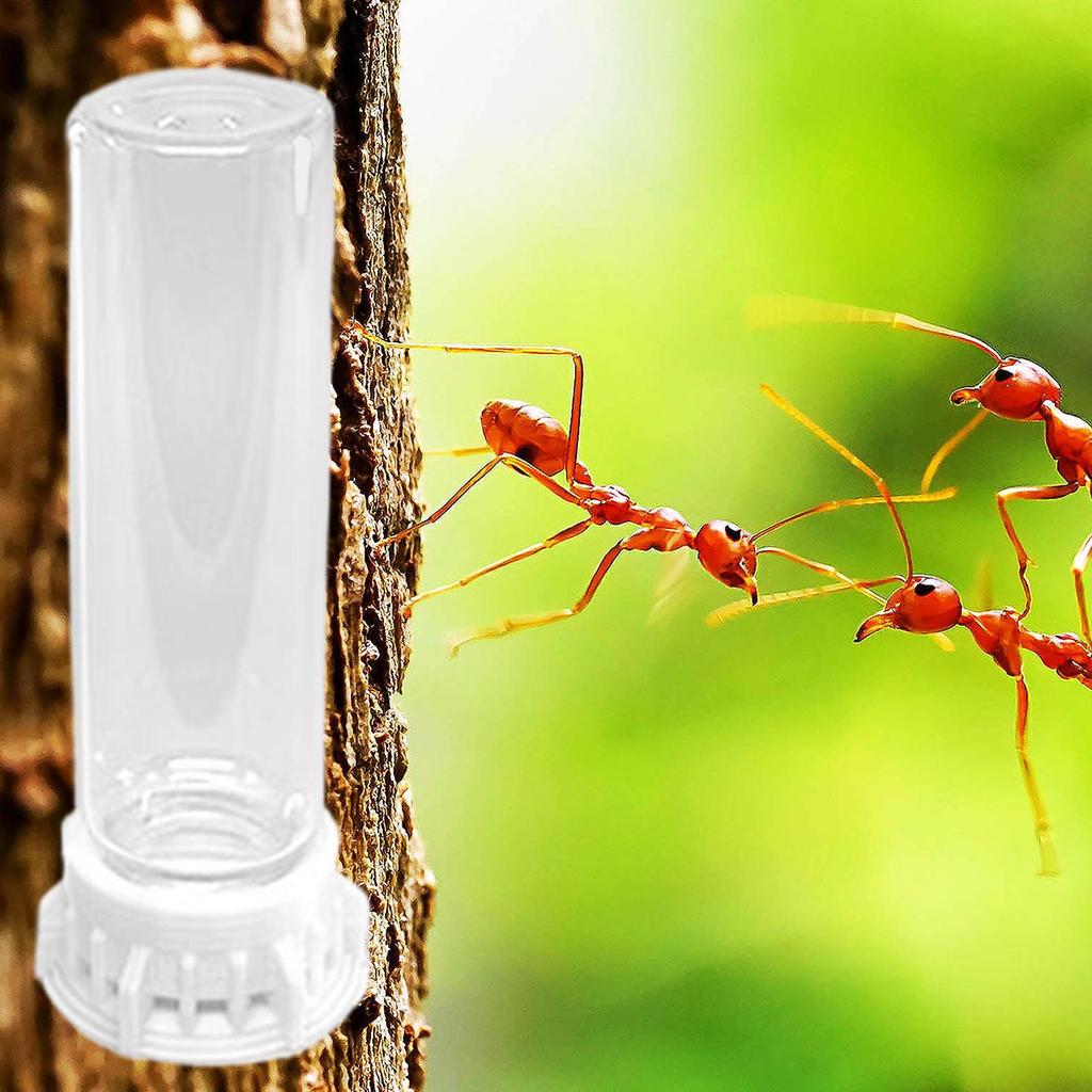 Ant Farm Water Feeder Transparent Pet Farm Water Bowls Leakproof Portable Ant Nest Accessories Heavy Duty Feeding Station For