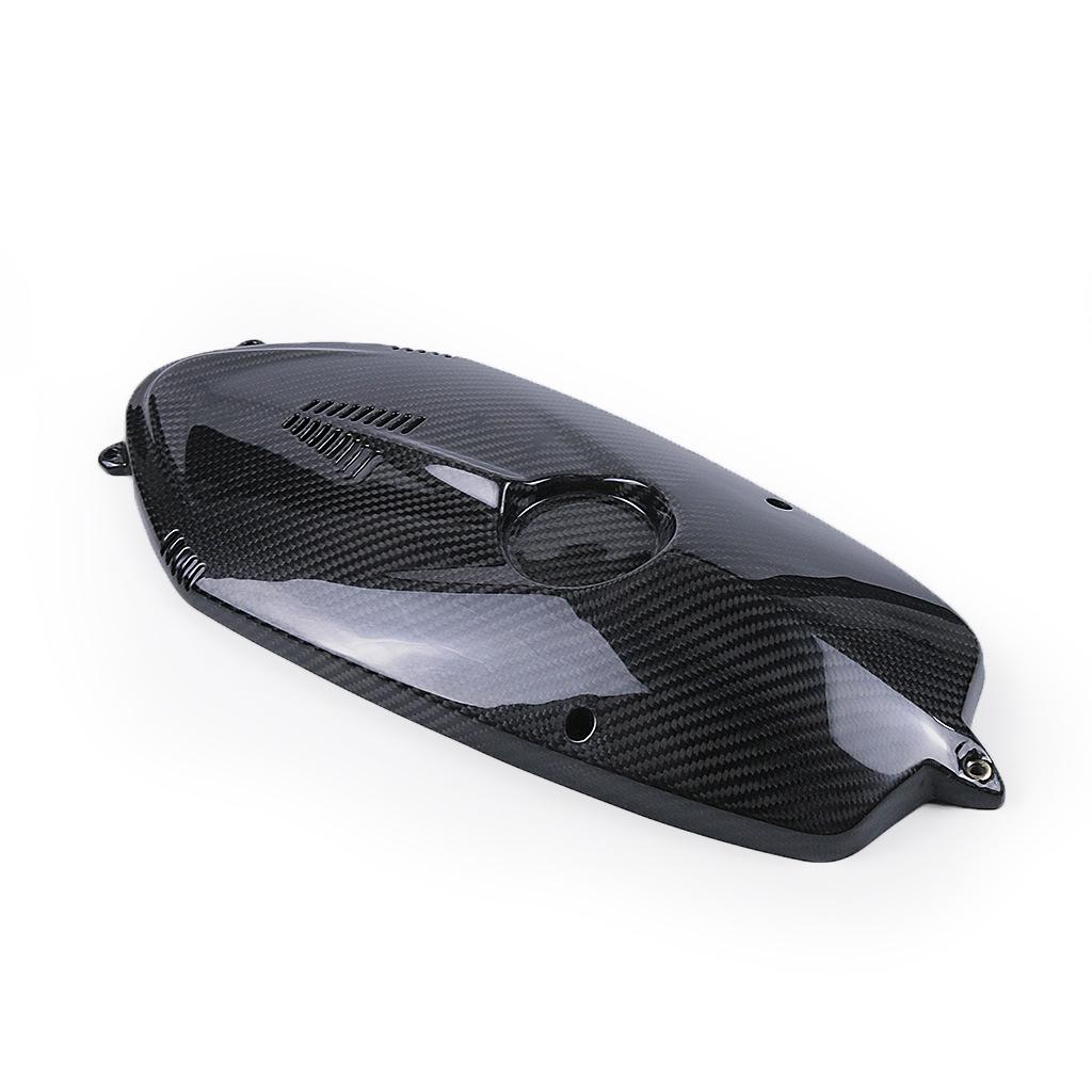BMW R Nine T (2015-2016) Carbon Fiber Engine & Water Cooler Cover