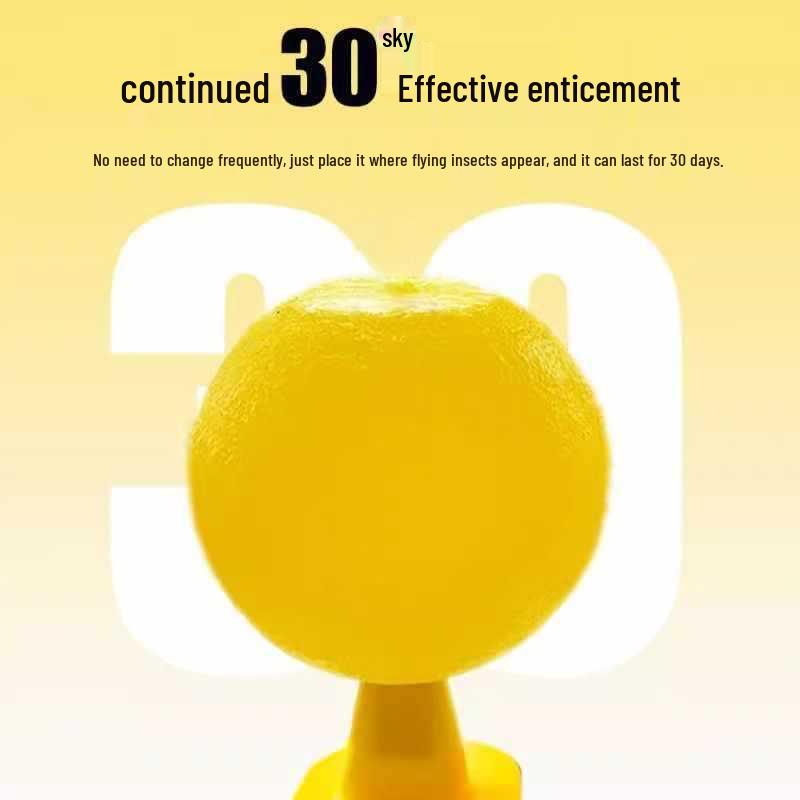 Kapalı Alan Meyve Sinek Tuzağı Yapışkan Yem - Küçük Böcek Yakalayıcı ve Öldürücü