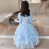 Frozen Elsa & Anna Light Luxury Autumn/Winter Tutu Skirt & Sweater Dress: Royal Court Style