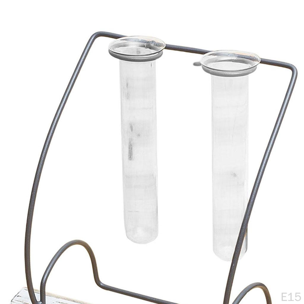 Terrarium with Metal Stand, Air Er Bulb Glass Vase Holder Retro Tabletop for S Home and Garden