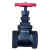 Z15T-10/16 Cast Iron Threaded Gate Valve, DN15-50