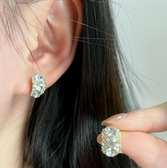 S925 Silver Autumn-Winter Diamond Earrings, 2024 Trendy High-End Luxury Ear Studs