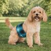 Adjustable Dog Diapers Leak Proof Dogs Safety Pants Dog Underwear Puppy Shorts Travel Use