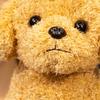 Animals Dog Plush Toy Stuffed Poodle Dog Doll Creative Small Dog Plush Doll  Boys Girls