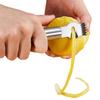 Orange Citrus Fruit Grater Peeling Knife Stainless Steel Lemon Zester Grater With Channel Knife And Hanging Loop Kitchen Gadgets
