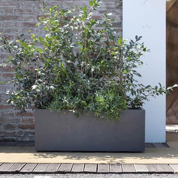 DEROMA Jardinière Muret Millennium R - 99 x h39 cm - Anthracite - A réserve d'eau - Roulettes