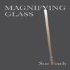 Magnifying Glass by Sue Finch Paperback Book 9781913195113