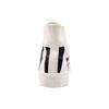 Converse Chuck Taylor All Star Hi Top Logo 'White Black' 159533C