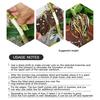 Plant Root Growing Box Reusable Cutting Grafting Rooting Ball Garden Propagation S Breeding Equipment Rooting Ball