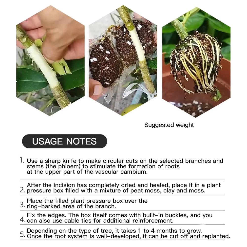 Plant Root Growing Box Reusable Cutting Grafting Rooting Ball Garden Propagation S Breeding Equipment Rooting Ball