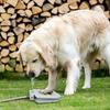 New Adjustable Dog Sprinkler Water Fountain Durable Easy to Install Dog Water Fountain Dog Supplies Pet Accessory Outdoor