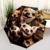 Chihuahua, Smiles Theme 8 Bone Hand Automatic Folding Umbrella, Compact and Portable Design, A Perfect Gift for Birthday, Christmas or Busin