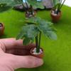 1:12 Dollhouse Miniature Simulation Vase 8 Styles Finished Flower  Miniature Dollhouse Decorations