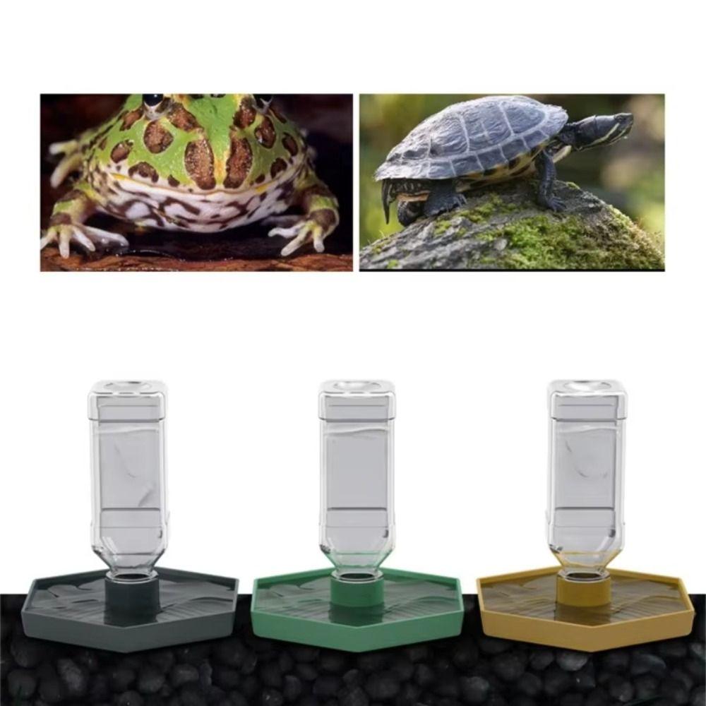 Detachable Turtle Water Bowl Stable Lizard Food Feeder Pet Supplies Reptiles Water Feeder  Vivarium
