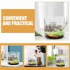 Transparent Desktop Glass Vase Cylinder Micro Landscape Moss Plant Pots  Bonsai Display