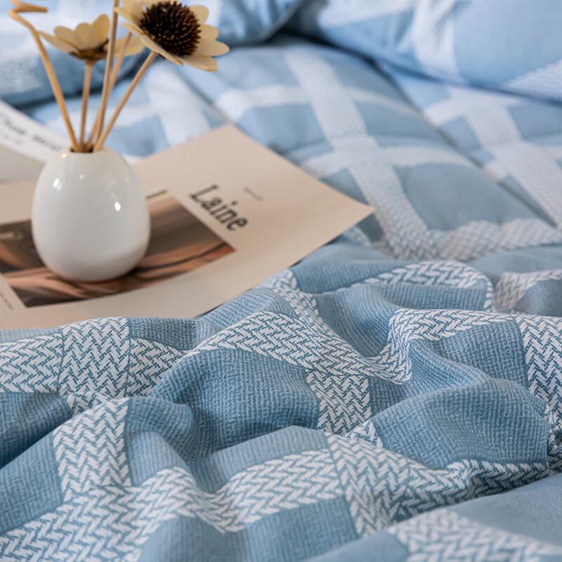 Paul Frank Niacinamide Moisturizing All-Season Quilt