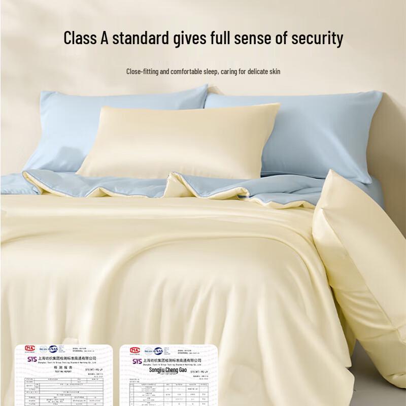 HLA Ice Silk Summer Quilt with 4-Piece Bedding Set