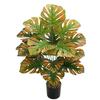 Nordic Style Variegated Monstera: Potted Plant for Home & Garden Decor
