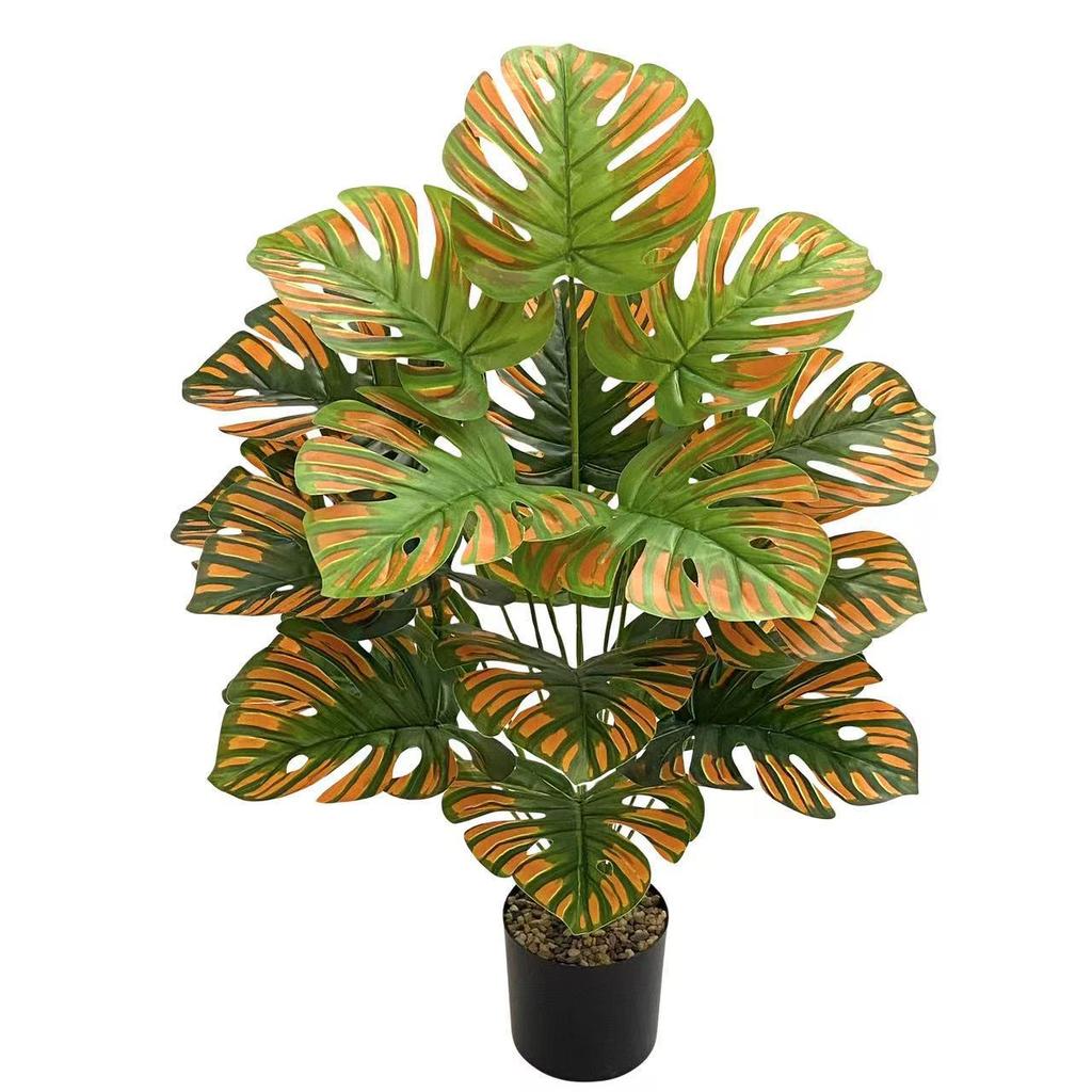 Nordic Style Variegated Monstera: Potted Plant for Home & Garden Decor