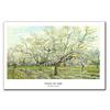 Collection of Van Gogh Works 24 Pics Famous Canvas Painting Posters Prints Wall Art Pictures for Living Room Wall Decor Cuadros