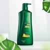 100 Years Hair Plant Amino Acid Moisturizing Shampoo