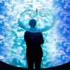 New Arrival Long Handle Jellyfish Umbrella Automatic Transparent Gradient Unique Beach Parasol Plastic Rain Gear
