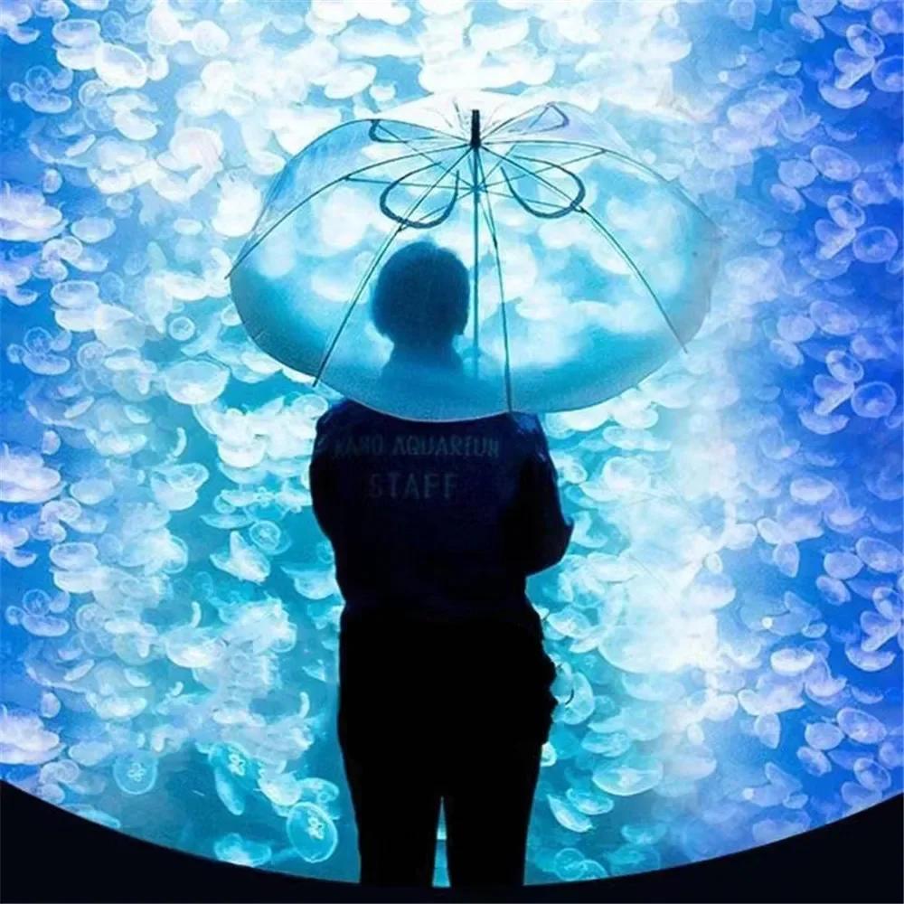 New Arrival Long Handle Jellyfish Umbrella Automatic Transparent Gradient Unique Beach Parasol Plastic Rain Gear