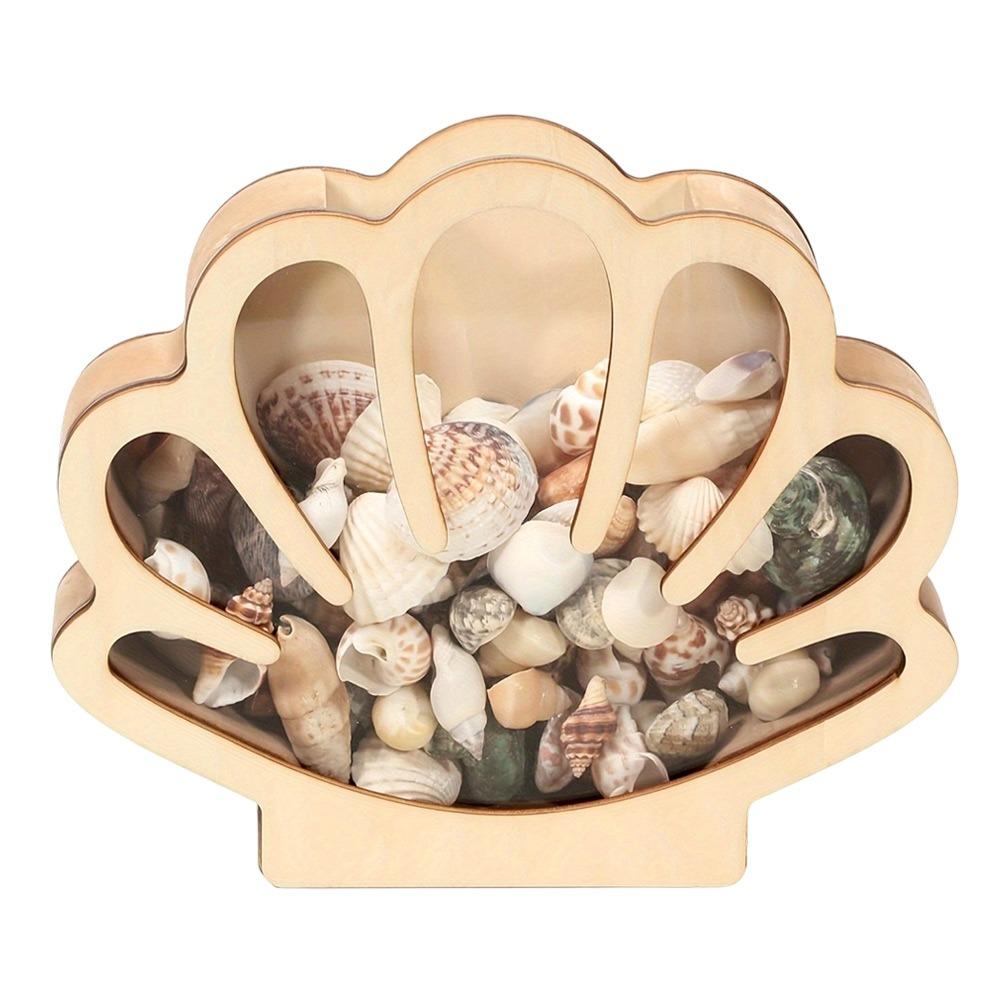 Dust-proof Shell Storage Container Clear Acrylic Display Organizer Box Decorative Storage A