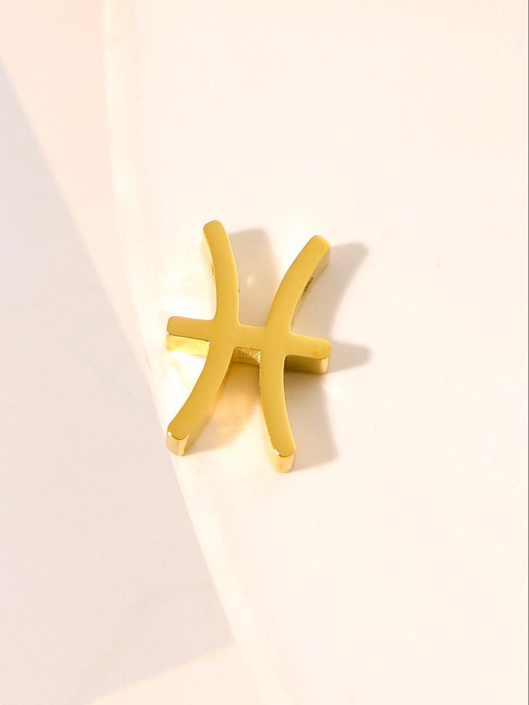 Twelve Constellations Stainless Steel Necklace Charm Set