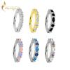 G23 Titanium Color CZ Hinged Segment Clicker Earring Cartilage Nose Hoop Septum Rings Piercing Jewelry