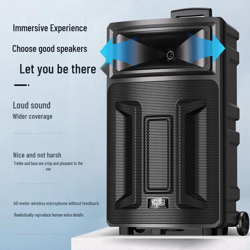 Soli Q28V Portable Karaoke & PA Speaker with Dual Mics
