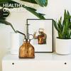 1pc Glass Watering Spray Bottle, Vintage Bronze Plastic Top Pump Watering Can Glass Spary Bottle Plant Mister, for House Plants,