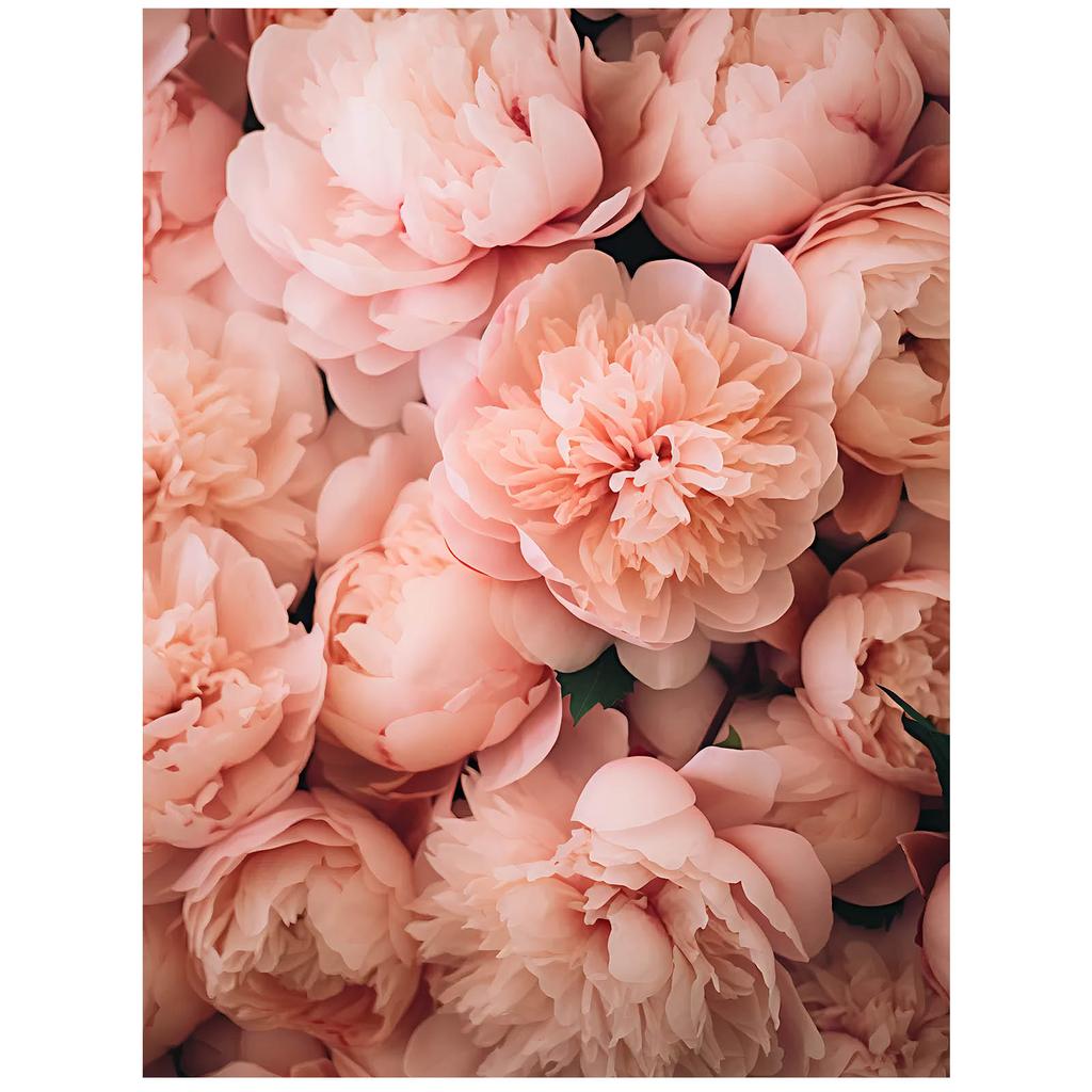 Plakat O Delikatnej Urodzie Plakat O Delikatnej Urodzie, 50X70 Cm, Bez Ramy, Płótno Premium Na Blejtramie