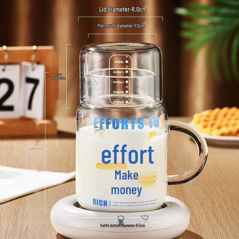 

High Borosilicate Glass Water Bottle with Handle, 800ml