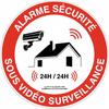 No Sign Road Metal SignVideo AlarmProhibited AccessPrivate PropertyAttention Dog No EnterNo ParkingTurnWarning Sign