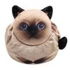 Cat Travel Makeup Bag Drawstring Cosmetic Organizer Cat Design Lay Flat Large Capacity Cosmetic Pouch Gift for Cat Lovers