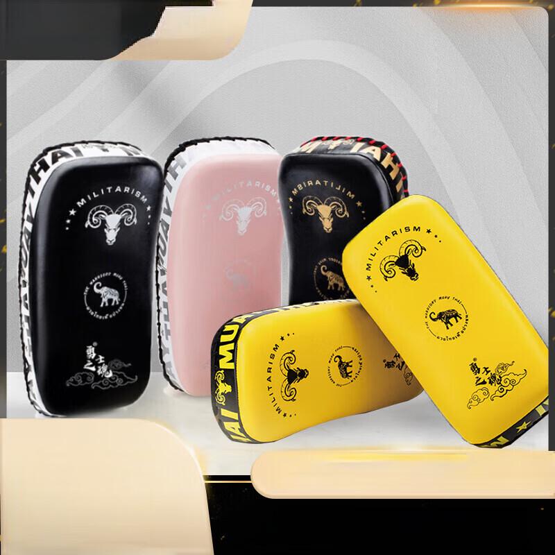 Taekwondo & Muay Thai Kick Pad