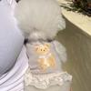 Dog Clothes Lace Skirt Small Dog Teddy Bichon Pomeranian Cat Small Dog Summer Thin Pet Clothing