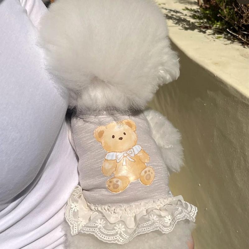Dog Clothes Lace Skirt Small Dog Teddy Bichon Pomeranian Cat Small Dog Summer Thin Pet Clothing